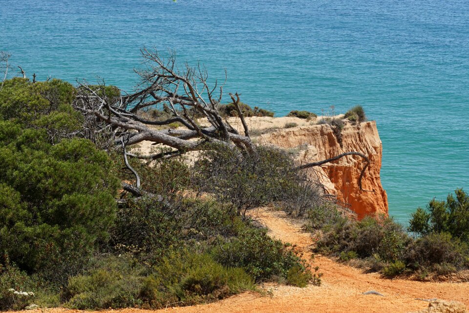 Sea nature portugal