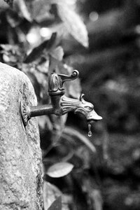 Dripping water tap photo