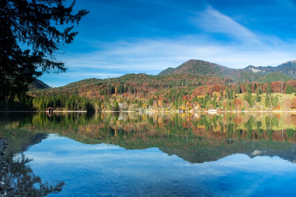 Lake forest mirroring
