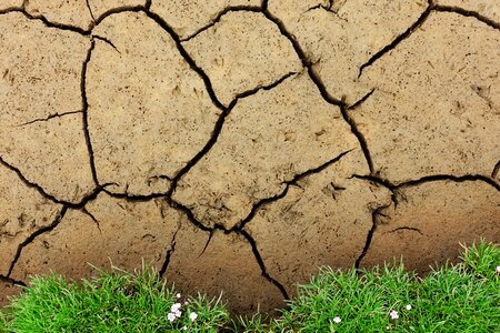 Soil ground dry
