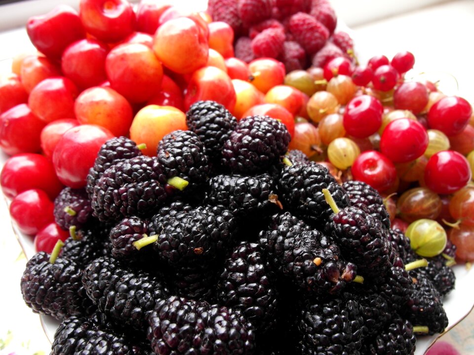 Fruit raspberries mulberry