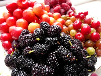 Fruit raspberries mulberry