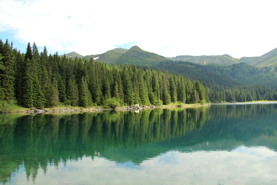 Nature trees country