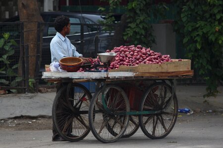 Shopkeeper wheel gray onion