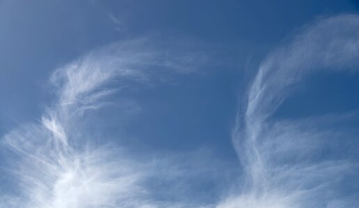 Fluffy delicate cloudscape photo