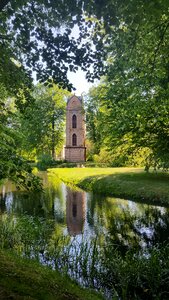 Green idyll wood photo