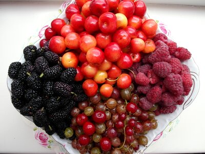 Fruit raspberries mulberry