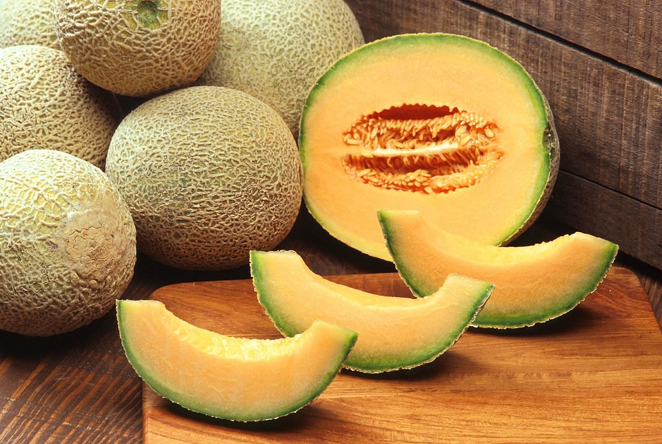 Melon fruits plants
