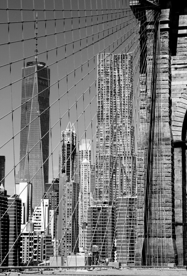 Buildings skyline urban