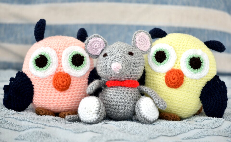 Mouse unlikely friends