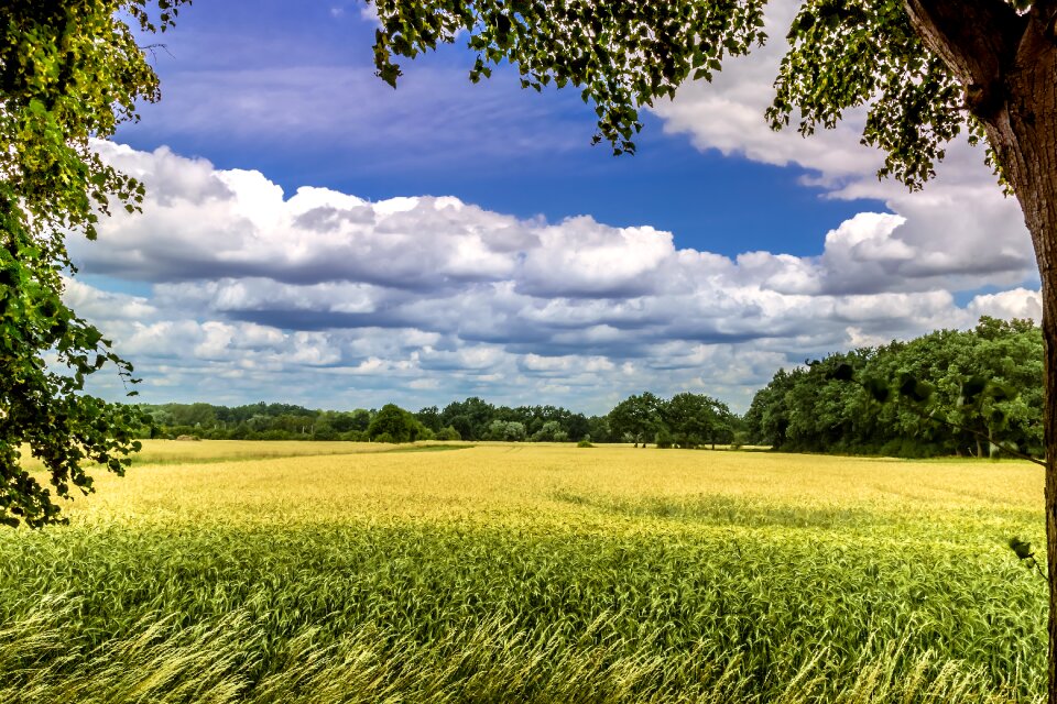 Sky landscape nature