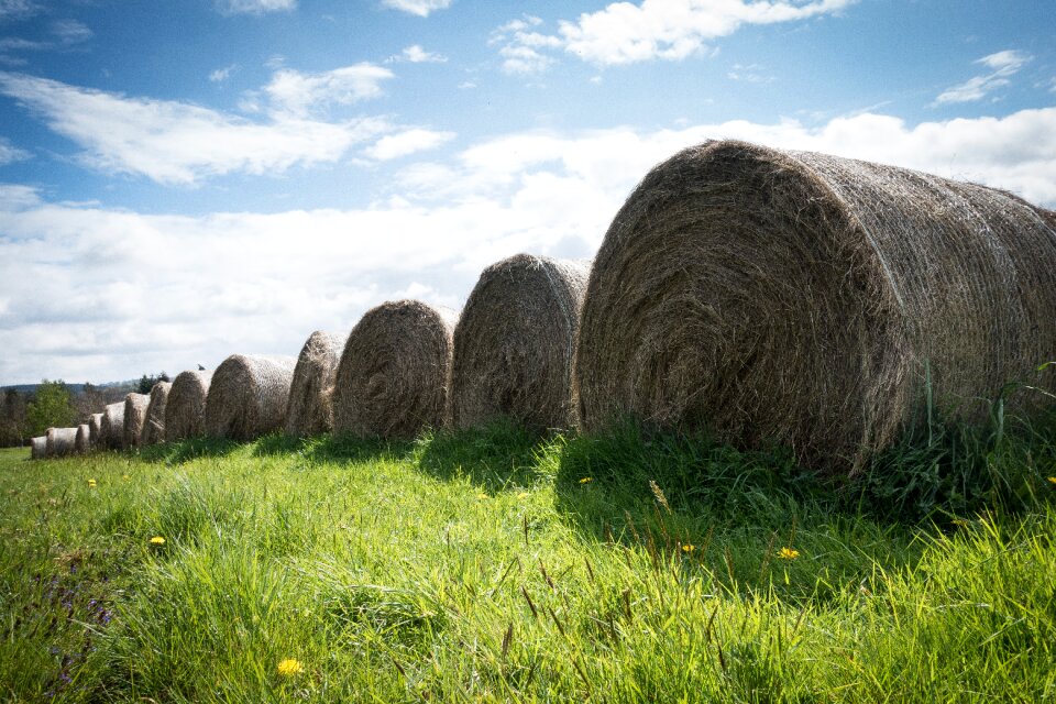 Nature agriculture straw