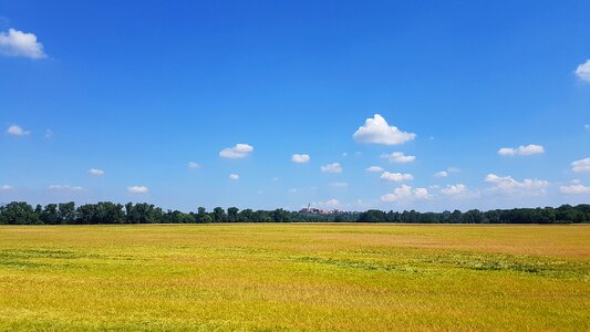 Field horizon landscape photo