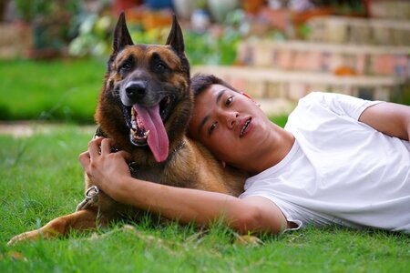 Police dog pets assistance