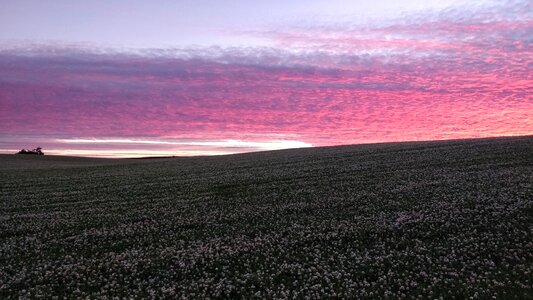 Sky landscape red sky