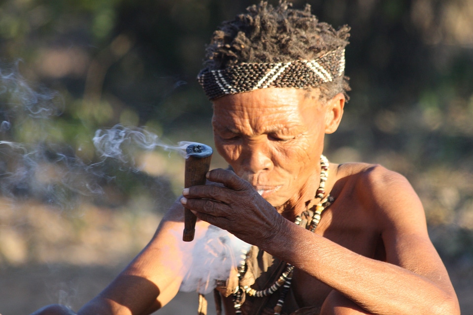 Smoke bush woman person