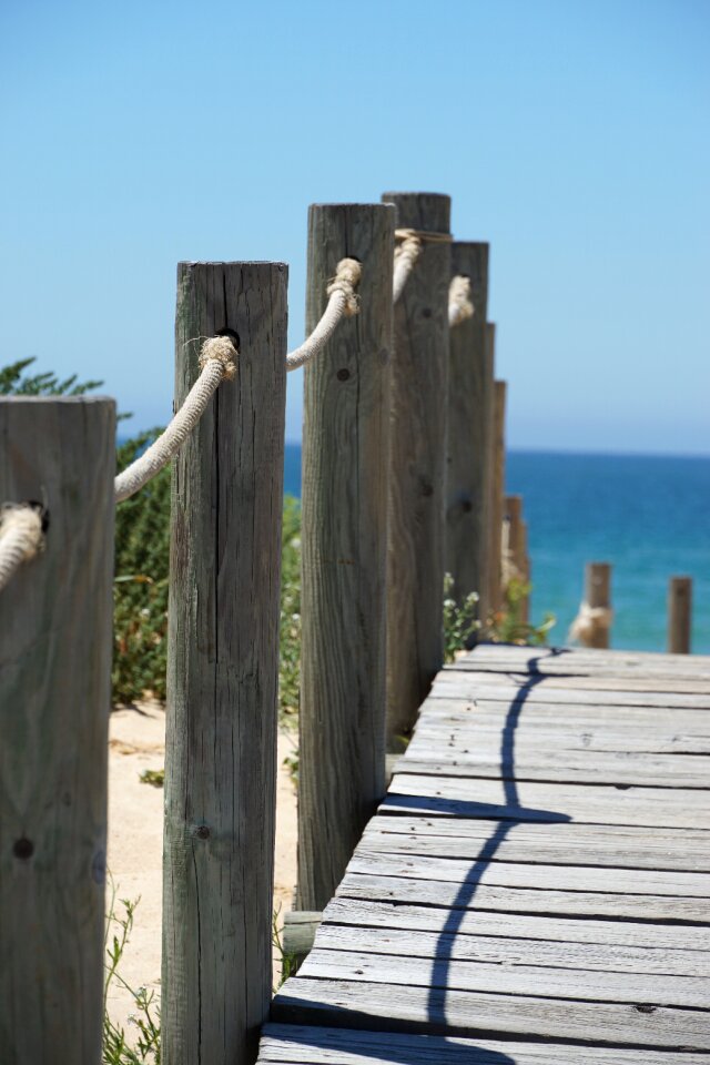 Wood planks boardwalk path