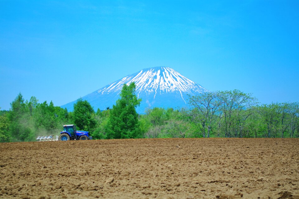 Natural green landscape