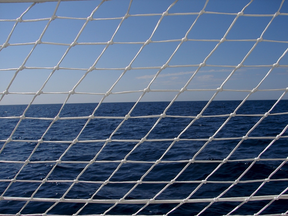 Web ocean blue white