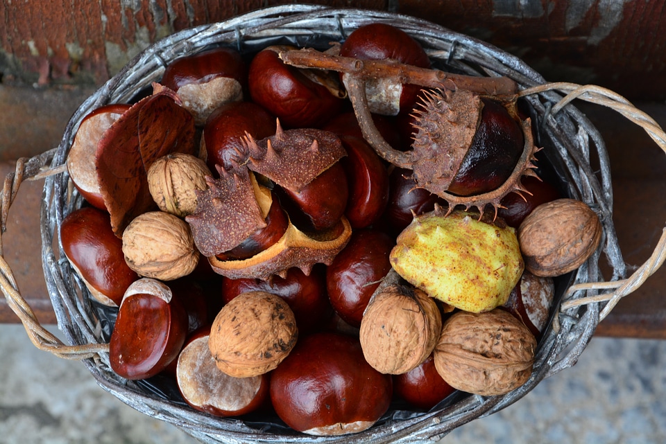 Chestnut autumn basket