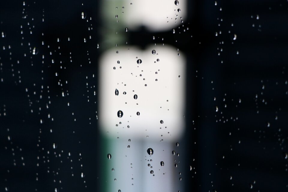 Rain wet nature