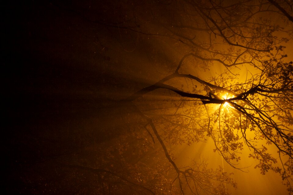 Mystical light mood