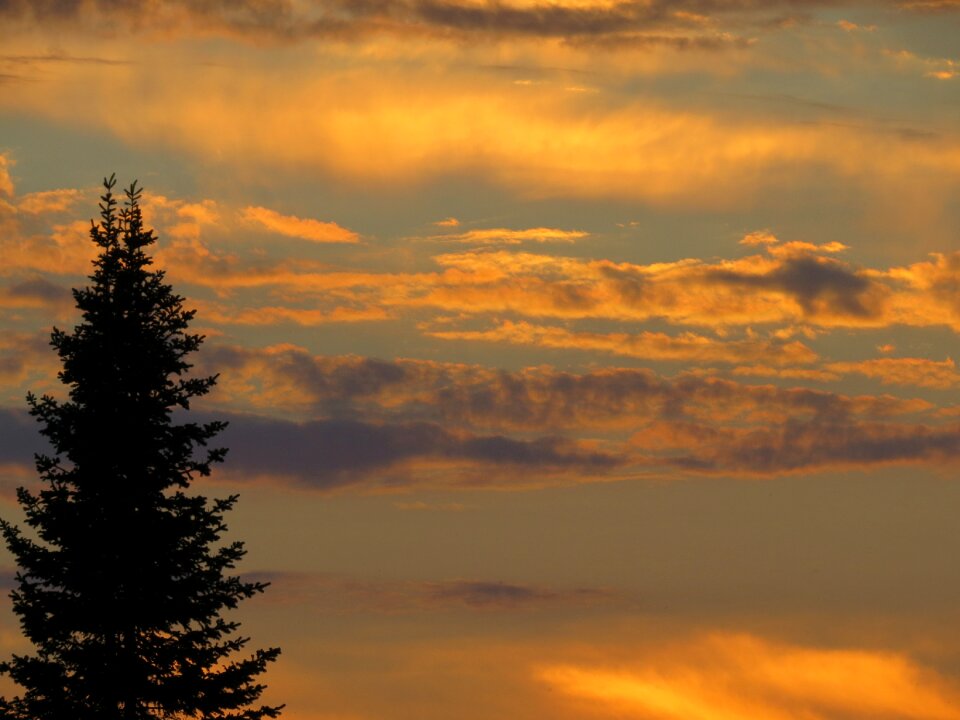 Sky nature light
