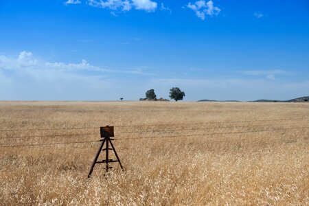 Ruin field dry land