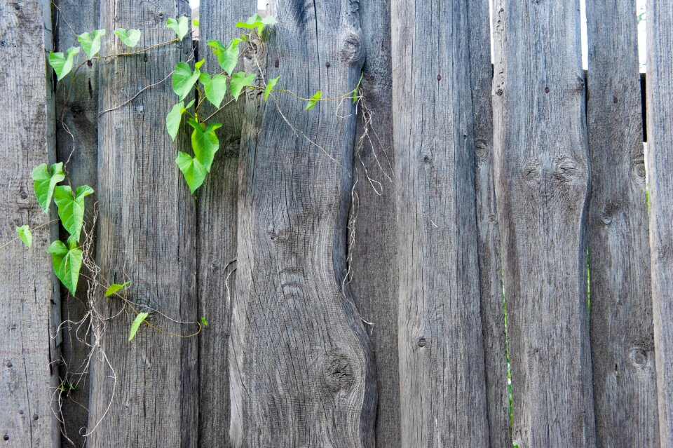 The structure of the wood boards