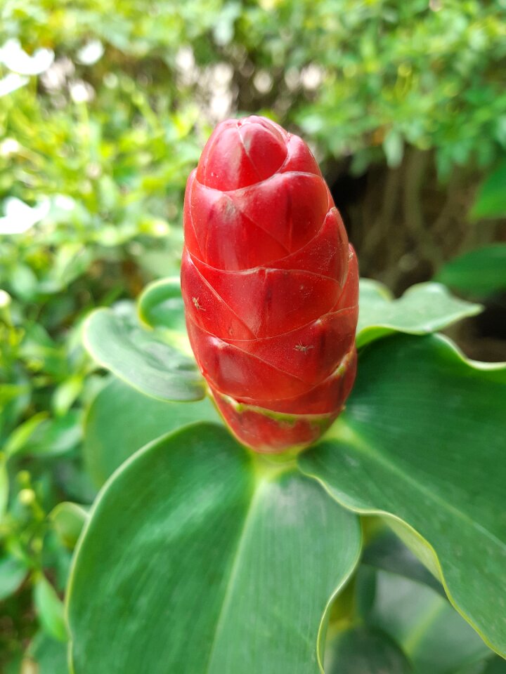 Colorful outdoor red