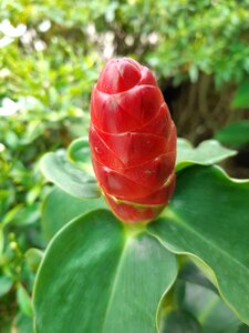 Colorful outdoor red