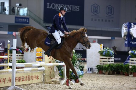 Obstacles horse knight