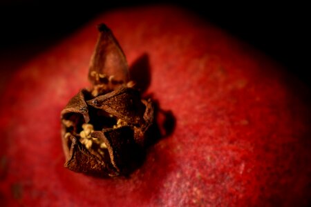 Red diet food