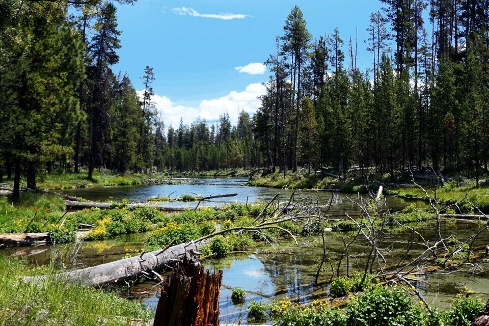 Landscape water scenery