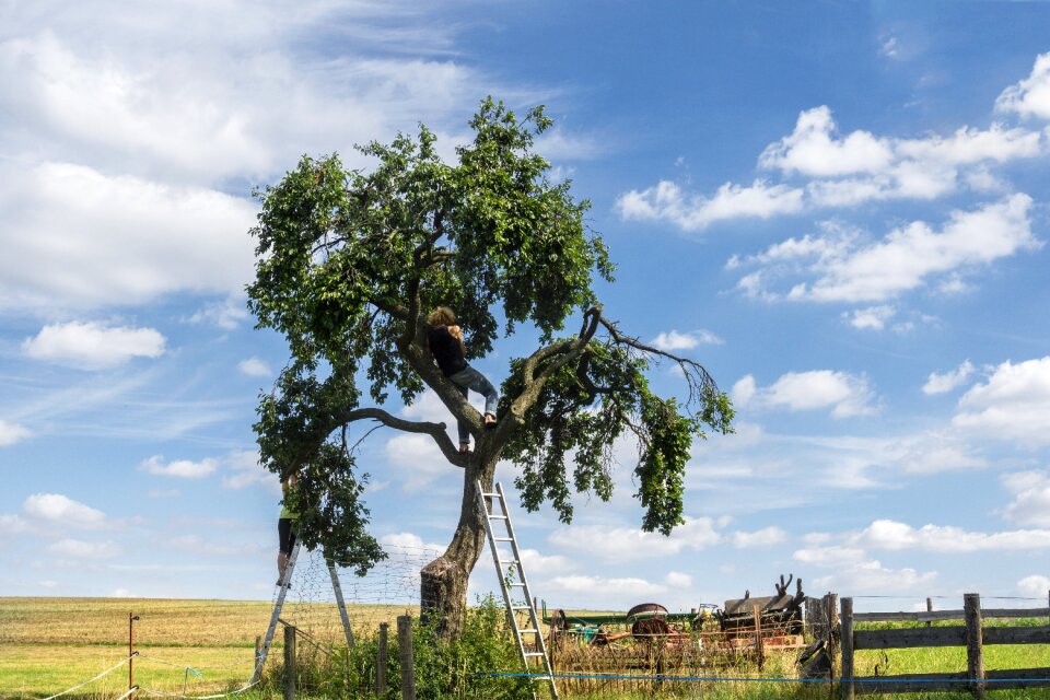 Nature farm rural