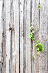 The structure of the wood boards