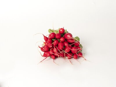 Red radish salad