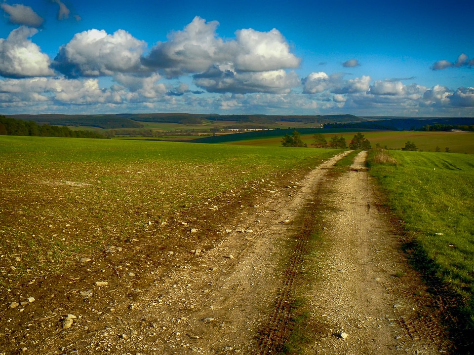 Farm fields sky