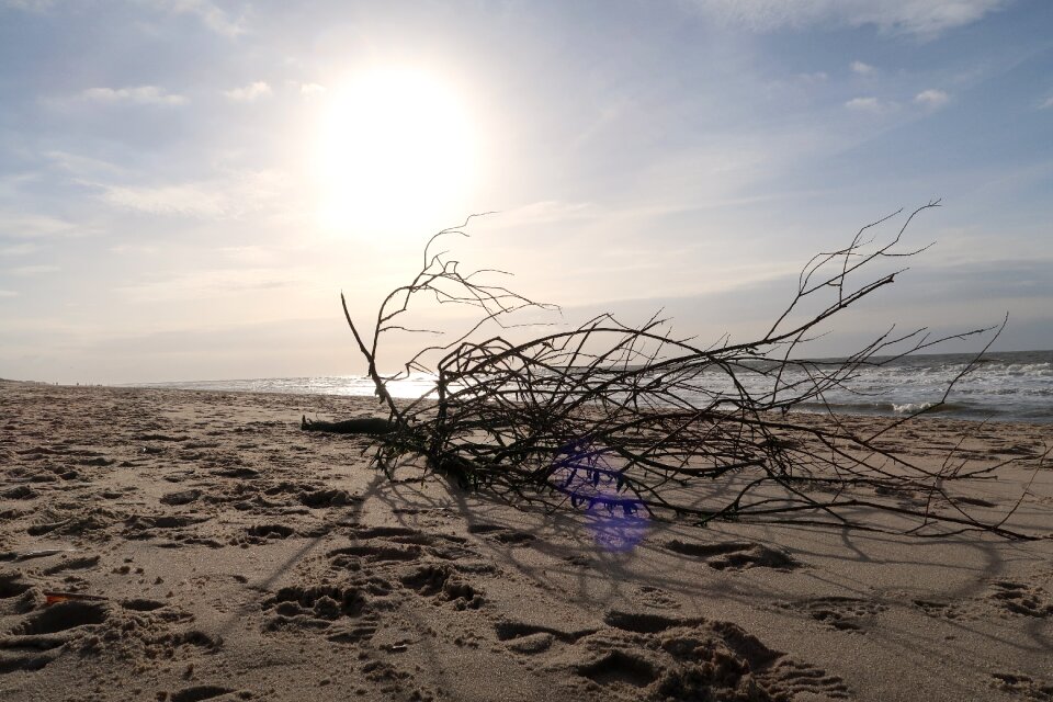 Sand sea collection