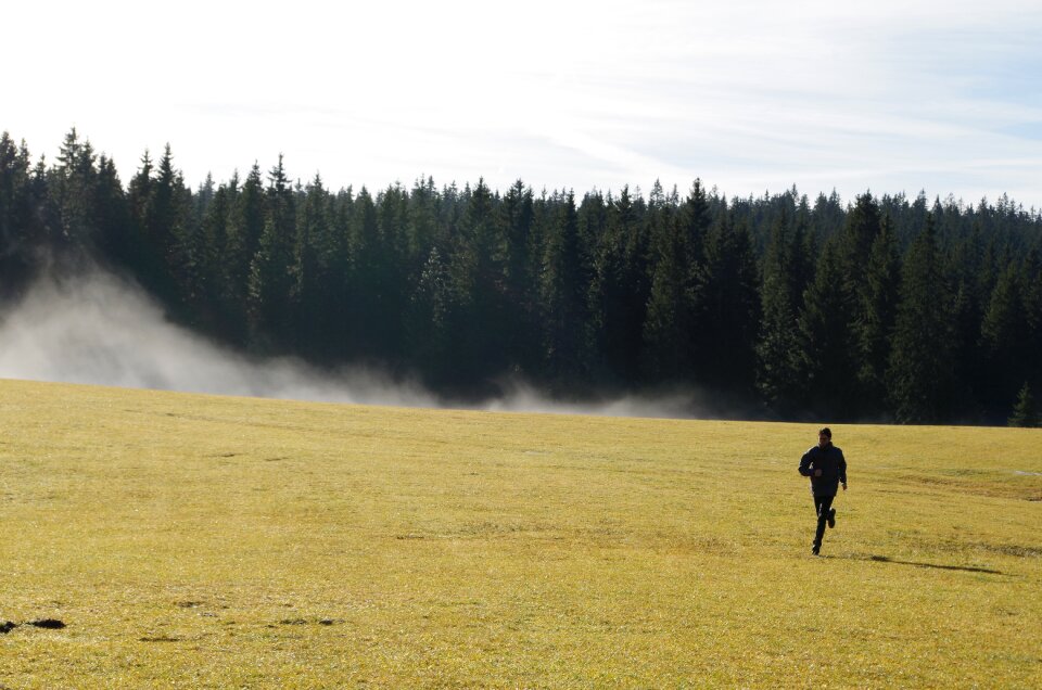Cold runner forest