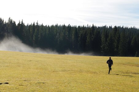 Cold runner forest