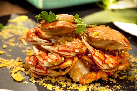Typhoon shelter dry burn flower crab
