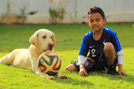 Dog soccer fun photo