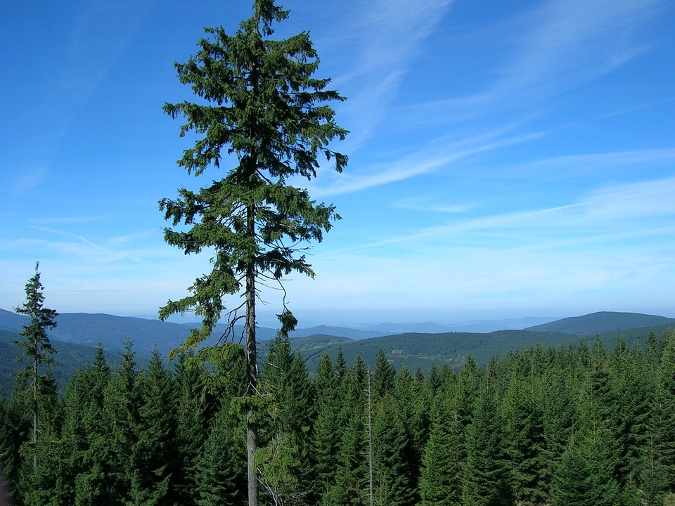 Panorama outlook distant view
