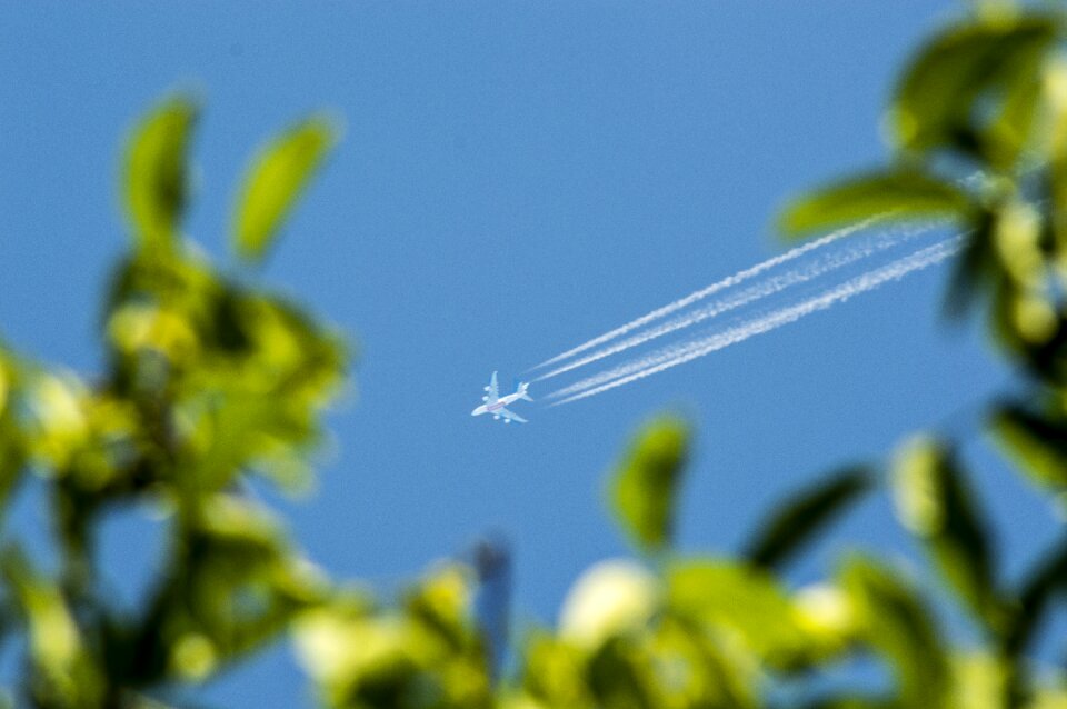Green holidays zoom