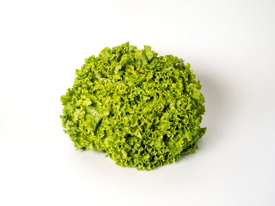 Curly lettuce healthy photo
