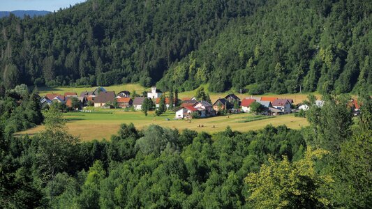 Forest green village