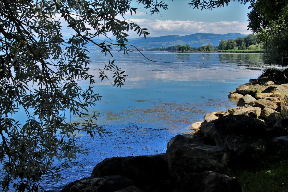 Scenery water nature