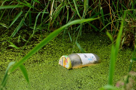 Nature flora trash