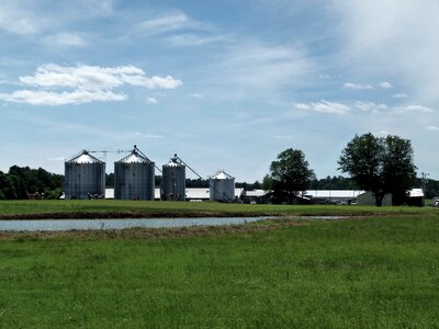 Rural trees scenic photo